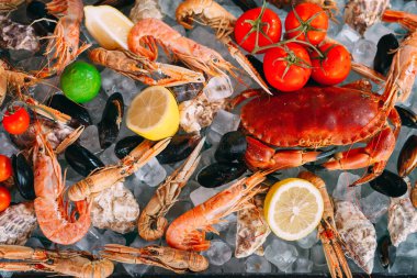 Buzlu deniz ürünleri. Yengeç, mersin balığı, kabuklu deniz hayvanı, karides, Rapana, Dorado, beyaz buz üzerinde.