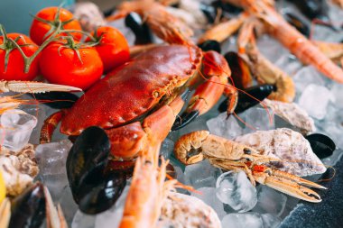 Buzlu deniz ürünleri. Yengeç, mersin balığı, kabuklu deniz hayvanı, karides, Rapana, Dorado, beyaz buz üzerinde.