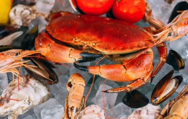 Buzlu deniz ürünleri. Yengeç, mersin balığı, kabuklu deniz hayvanı, karides, Rapana, Dorado, beyaz buz üzerinde.