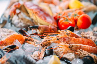 Buzlu deniz ürünleri. Yengeç, mersin balığı, kabuklu deniz hayvanı, karides, Rapana, Dorado, beyaz buz üzerinde.