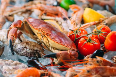 Buzlu deniz ürünleri. Yengeç, mersin balığı, kabuklu deniz hayvanı, karides, Rapana, Dorado, beyaz buz üzerinde.