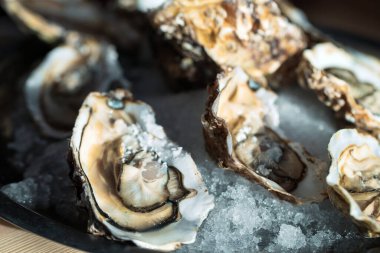 Masadaki siyah tabakta istiridye.