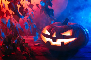 Gecenin karanlığında bir ormanda Ağaçta Cadılar Bayramı Balkabağı.