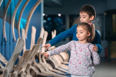 Çocuklar paleontoloji müzesindeki antik bir balinanın iskeletine bakıyorlar..