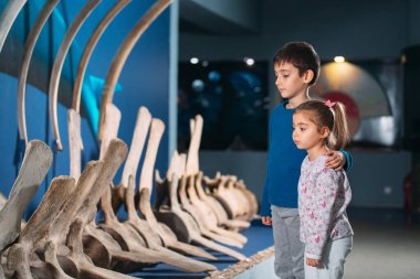 Çocuklar paleontoloji müzesindeki antik bir balinanın iskeletine bakıyorlar..