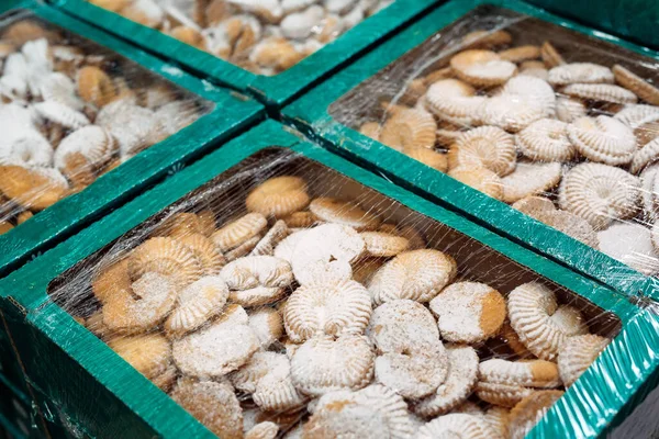 Galletas de pan corto con azúcar en polvo envasadas en cajas —  Fotos de Stock