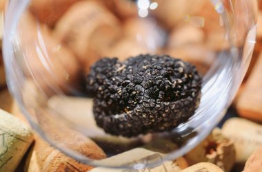 Siyah yer mantarı, boş bir bardakta şarap molası.