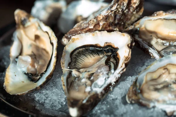 Restorandaki siyah tabakta istiridye..