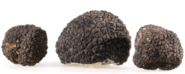 Black truffles isolated on a white background — Stock Photo, Image