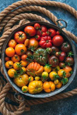 Farklı renklerde domatesler koyu arkaplanda bir gradyan olarak gösterilir..