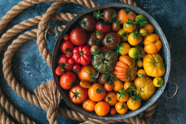 Farklı renklerde domatesler koyu arkaplanda bir gradyan olarak gösterilir..