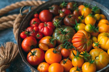 Farklı renklerde domatesler koyu arkaplanda bir gradyan olarak gösterilir..