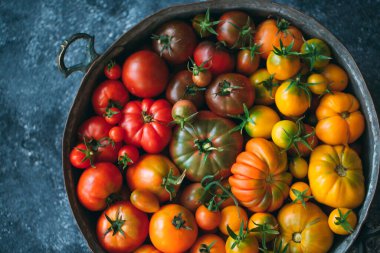 Farklı renklerde domatesler koyu arkaplanda bir gradyan olarak gösterilir..