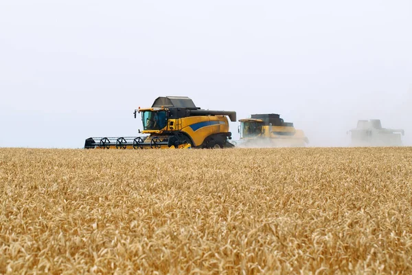 Mähdrescher erntet reifen Weizen. Landwirtschaft. Weizenfelder. — Stockfoto