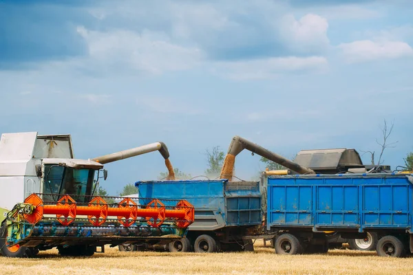 Mähdrescher erntet reifen Weizen. Landwirtschaft. Weizenfelder. — Stockfoto