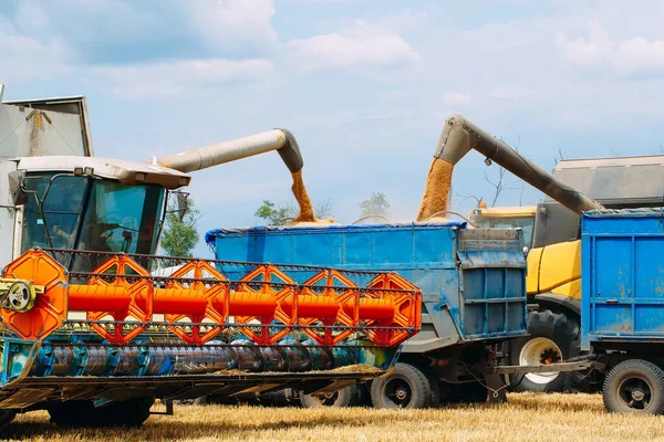 Mähdrescher erntet reifen Weizen. Landwirtschaft. Weizenfelder. — Stockfoto