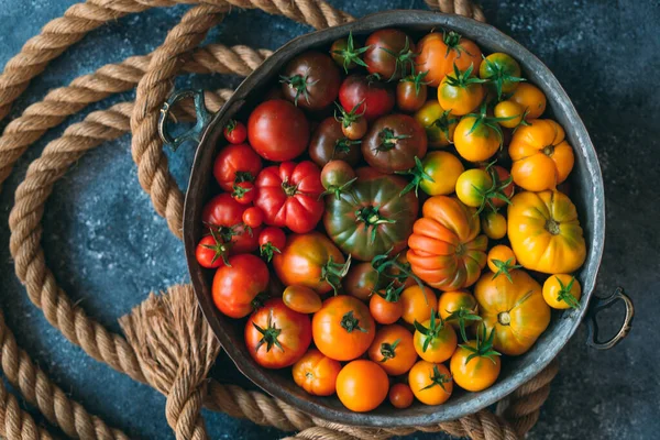 Farklı renklerde domatesler koyu arkaplanda bir gradyan olarak gösterilir..