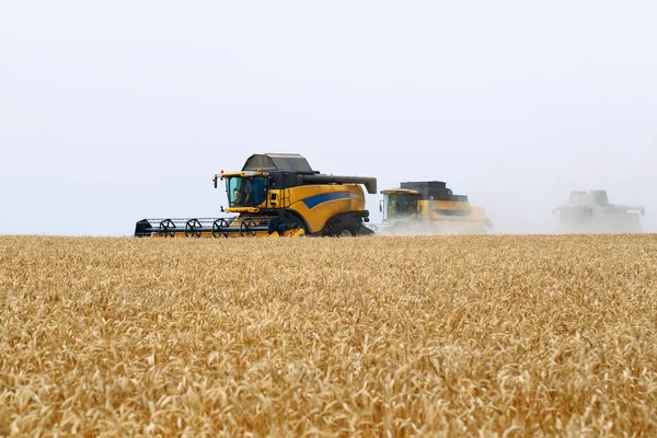 Combine harvester harvests ripe wheat. Agriculture. Wheat fields. Royalty Free Stock Photos