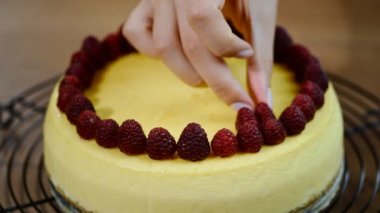 Ev yapımı New York cheesecake. Peynirli kek New York ahududu süslemeleri.