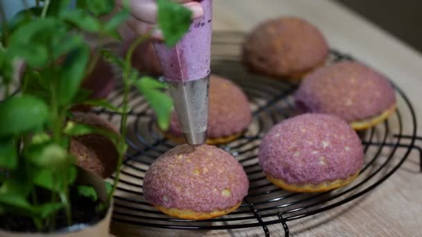 French dessert with dough craquelin with blueberry cream. — Stock Video