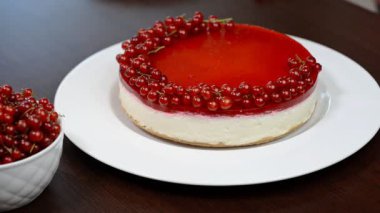 Kadın el dekore edilmiş cheesecake kırmızı kuş üzümü.
