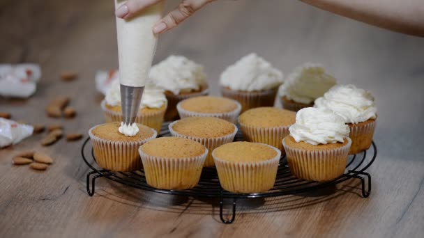 Cupcakes Διακοσμημένα Κρέμα Ζαχαροπλάστης Διακοσμεί Κέικ Κρέμα — Αρχείο Βίντεο