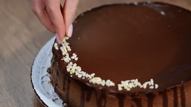 Schokoladen Käsekuchen Mit Nüssen Verzieren — Stockvideo