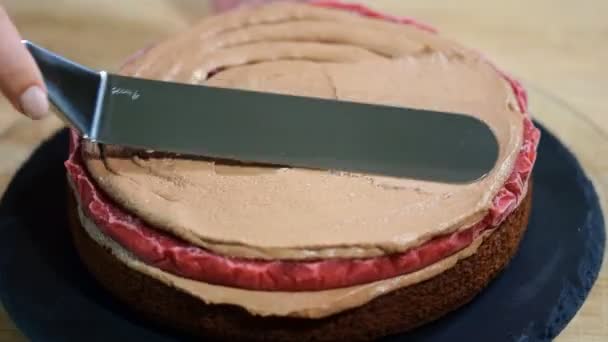 Assembling the Chocolate Sponge Cake with Cream and Cherries. — Stock Video