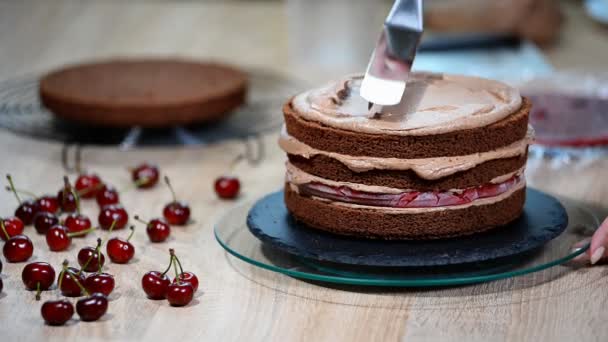 Assemblare il pan di Spagna al cioccolato con crema e ciliegie . — Video Stock