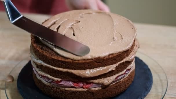 Montaje del pastel de esponja de chocolate con crema y cerezas . — Vídeos de Stock