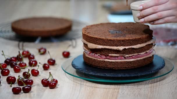 Bereiding van chocolade cake met kersen. De taart is doorweekt met zoete stroop voor vocht. — Stockvideo