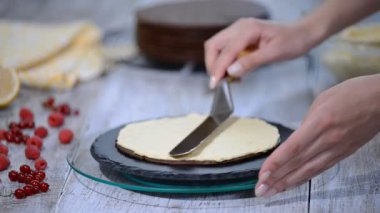 Çikolata tatlım katman Medovik pasta. Profesyonel pudra lezzetli kek yapmak.