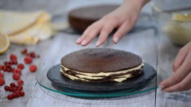 Çikolata tatlım katman Medovik pasta. Profesyonel pudra lezzetli kek yapmak.