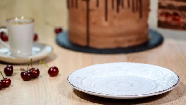 Poner un pedazo de pastel de chocolate de cereza en un plato — Vídeo de stock