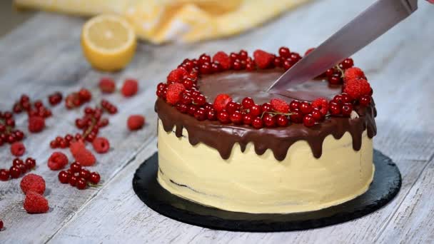 Chocolate honey layer cake Medovik with berries. Cake cutting