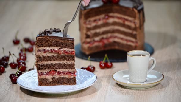 Stuk van kersen chocolade taart — Stockvideo