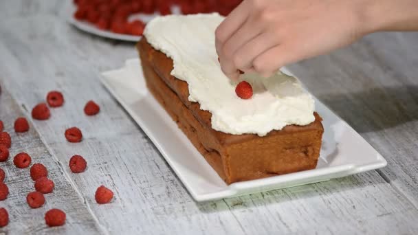 Torta con lamponi e foglie di menta . — Video Stock