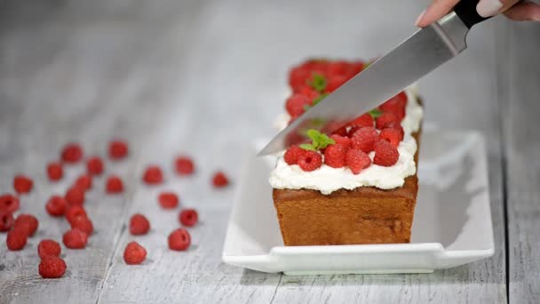 Raspberry Cake voor vakantie. Snijdende Raspberry Cake. — Stockvideo