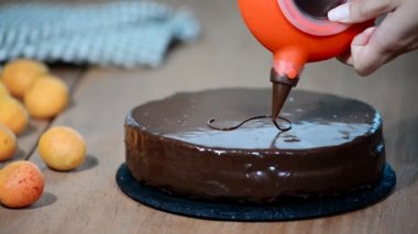 Çikolatalı kek Sacher ahşap bir masa üzerinde.