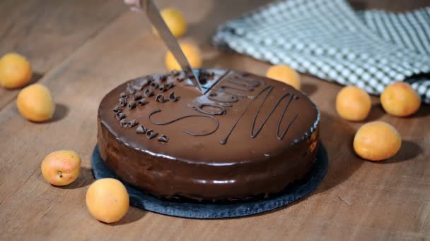 Μια γυναίκα κόβει μια σοκολάτα Sacher κέικ. — Αρχείο Βίντεο