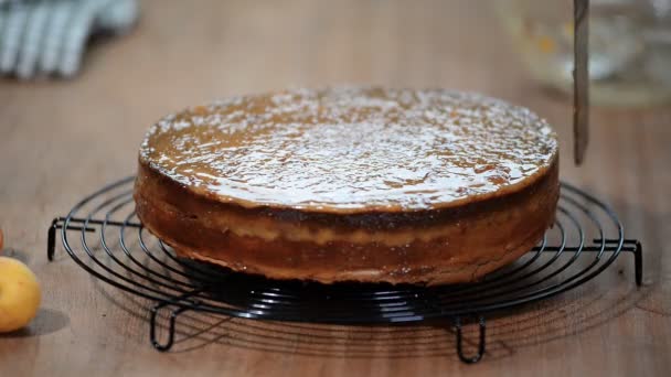 Préparation Gâteau Chocolat Sacher Faire Gâteau — Video