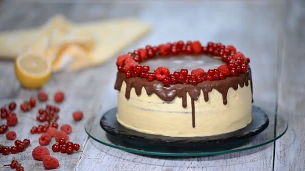 Шоколадний медовий торт Медовик з ягодами . — стокове відео
