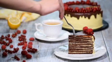 Çikolata tatlım katman Medovik pasta. Parça çikolatalı tatlım pastası.