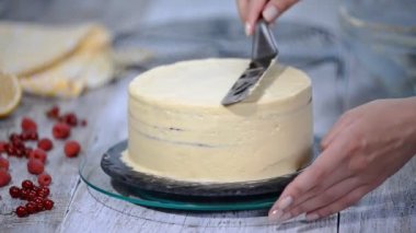 Çikolata tatlım katman Medovik pasta. Profesyonel pudra lezzetli kek yapmak.