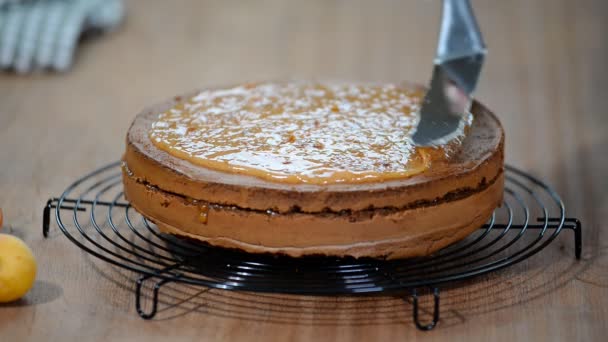 Préparation du gâteau au chocolat Sacher. Faire du gâteau . — Video