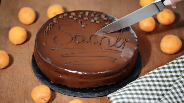 Una mujer está cortando un pastel de chocolate Sacher . — Vídeo de stock