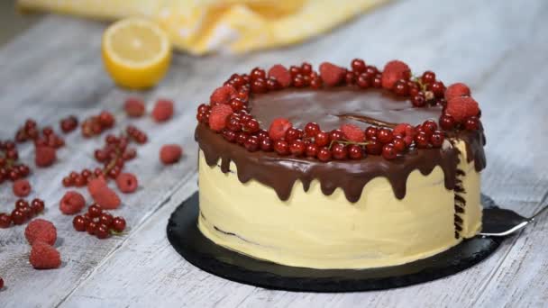 Στρώμα κέικ σοκολάτας μελιού Medovik. Κομμάτι του κέικ με σοκολάτα. — Αρχείο Βίντεο