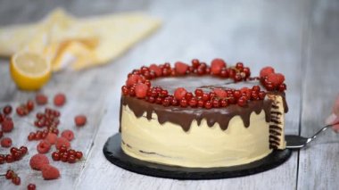 Çikolata tatlım katman Medovik pasta. Parça çikolatalı tatlım pastası.