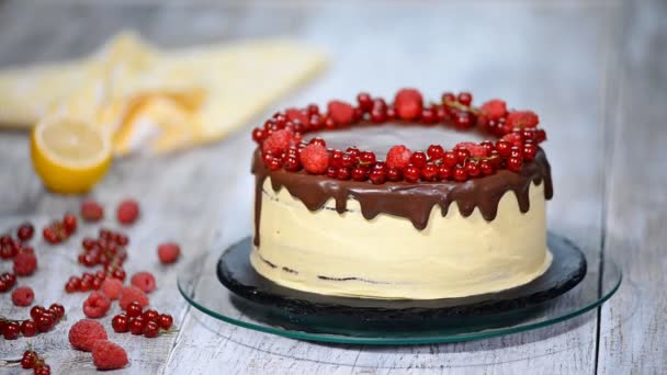 Pastel de capa de miel de chocolate Medovik con bayas . — Vídeo de stock