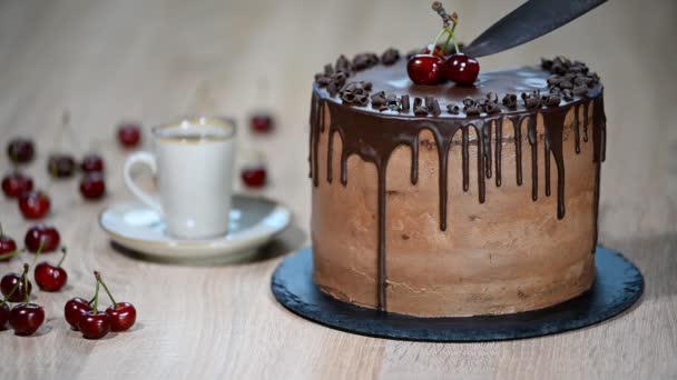 Vágás a csokoládé torta. Csokoládétorta, cseresznye. — Stock videók